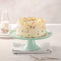 Pastel Party Cake Chico